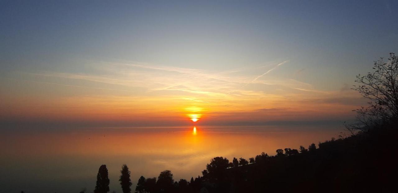 Villa Bori Siófok Exteriér fotografie